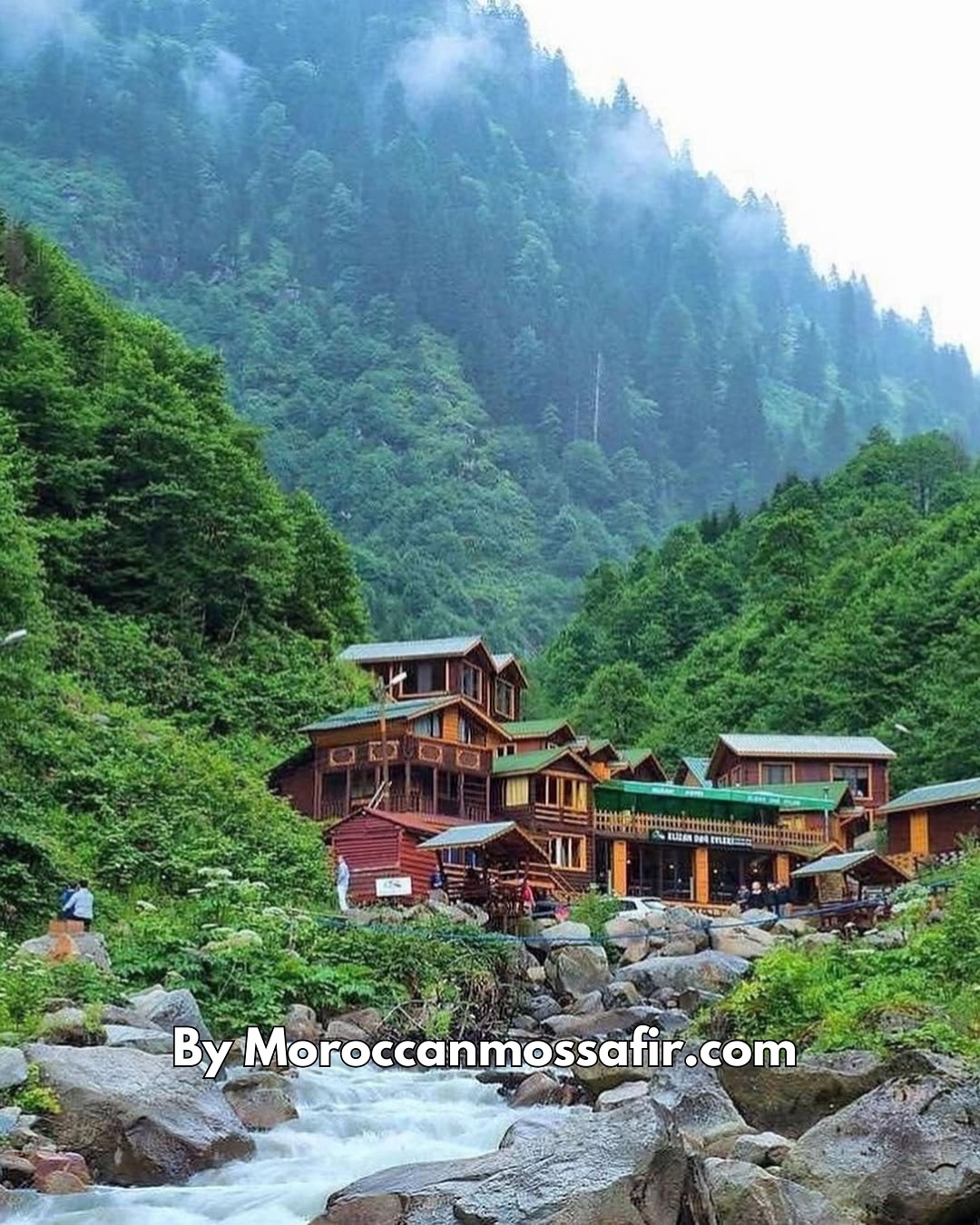 Excursion aux Montagnes de Rize et à Ayder