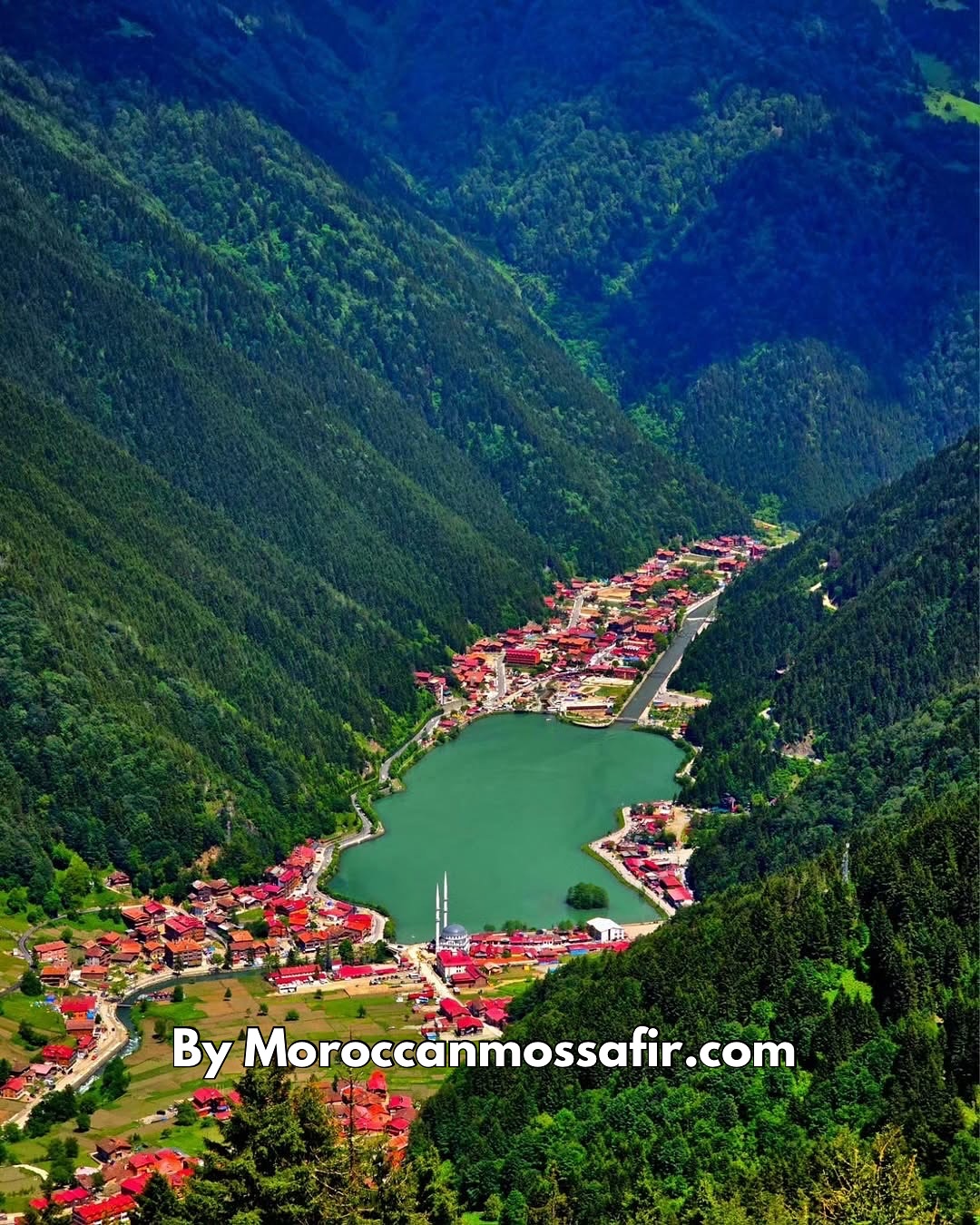 Excursion à Uzungöl et Visite des Fabriques de Thé